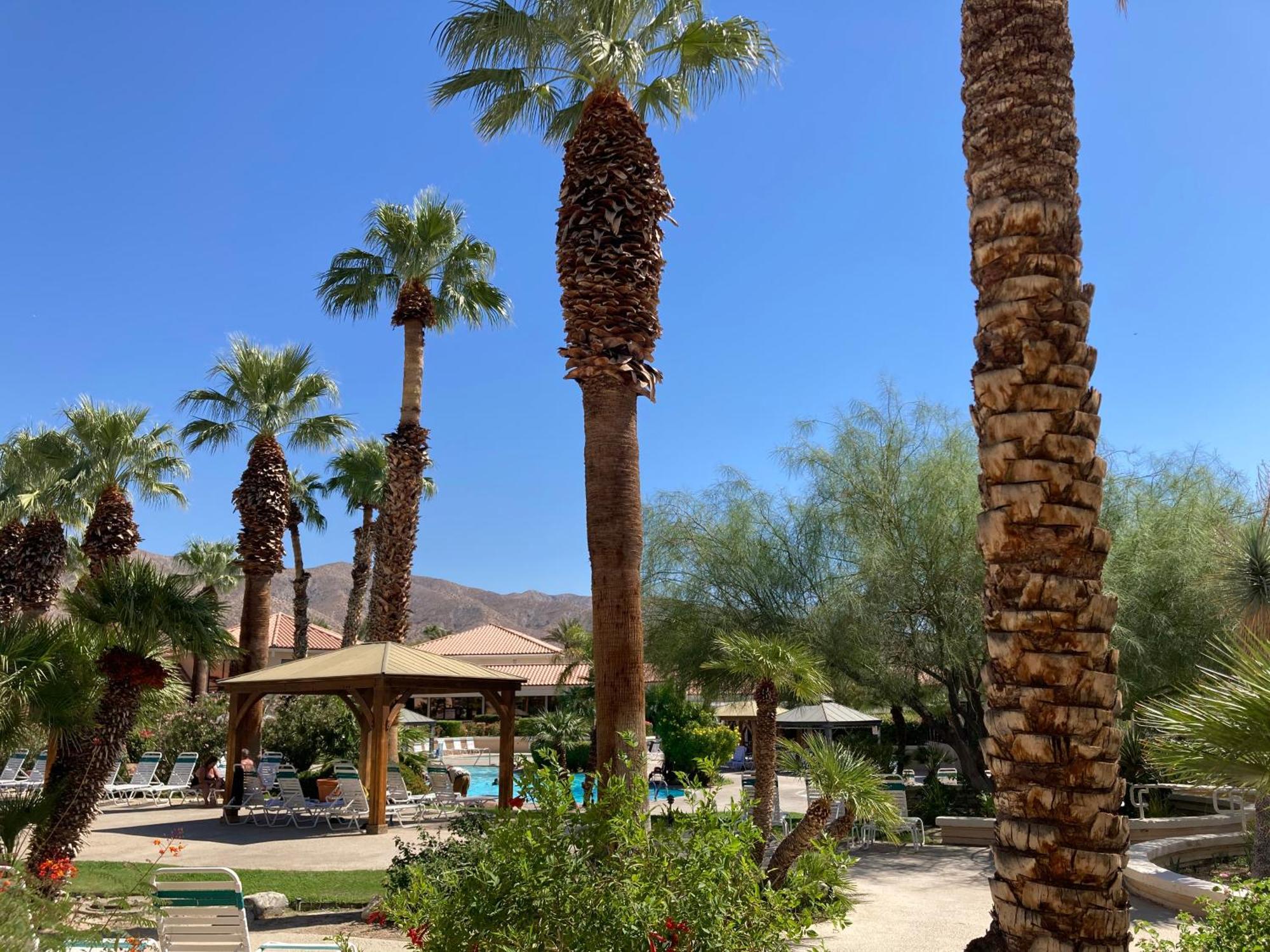 Miracle Springs Resort And Spa Desert Hot Springs Εξωτερικό φωτογραφία